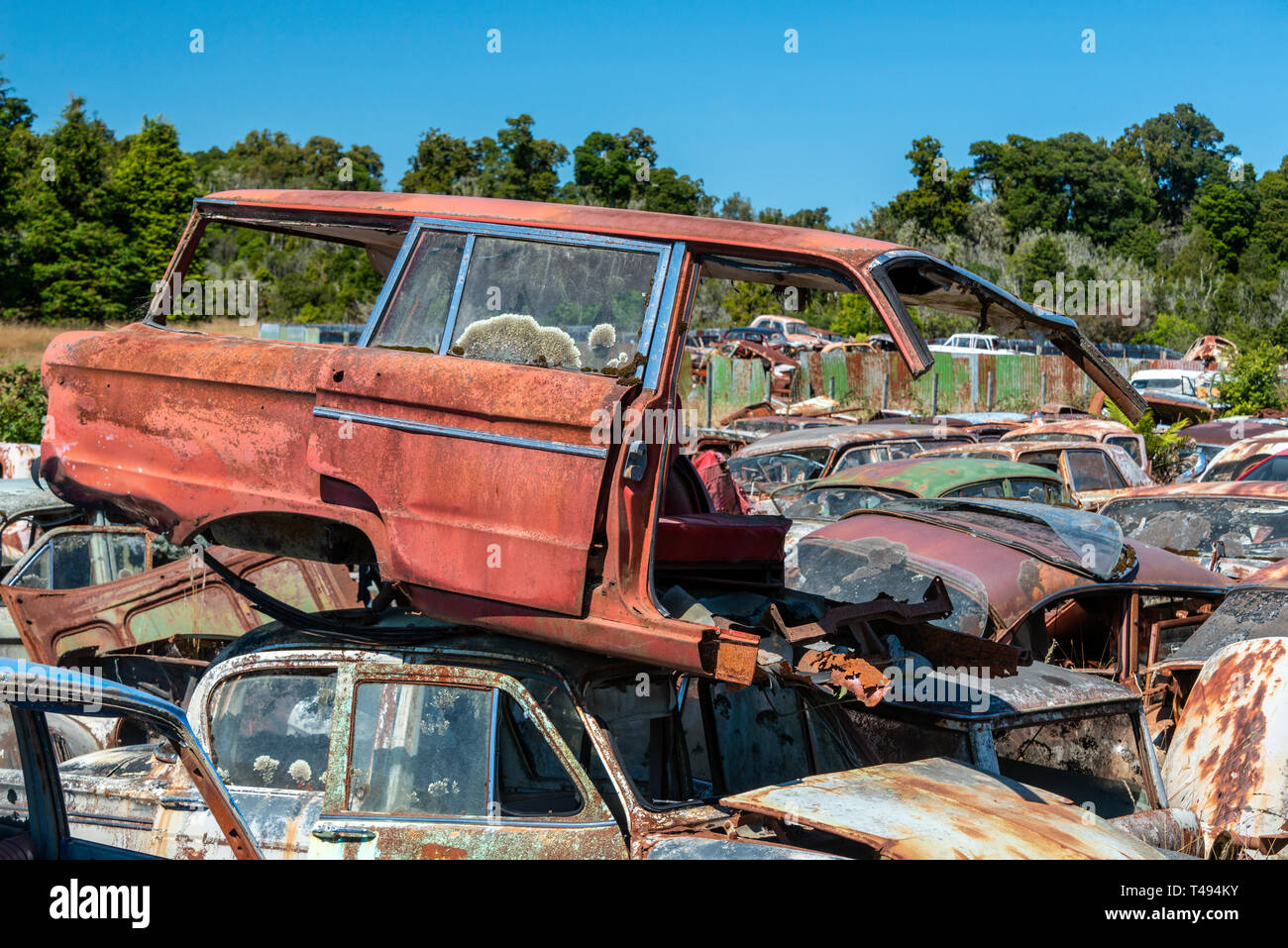 An abandoned rusted and broken Ford Falcon estate, car in a car wrecking yard. Horopito Motors, or 'Smash Palace', New Zealand Stock Photo