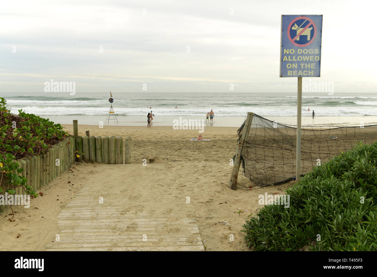 Durban, KwaZulu-Natal, South Africa, people swimming and relaxing at  Battery Beach, Golden Mile beachfront, no dogs allowed, landscape, city,  sign Stock Photo - Alamy