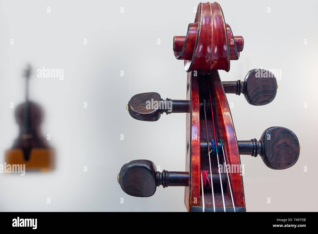 Cellos in a white room Stock Photo