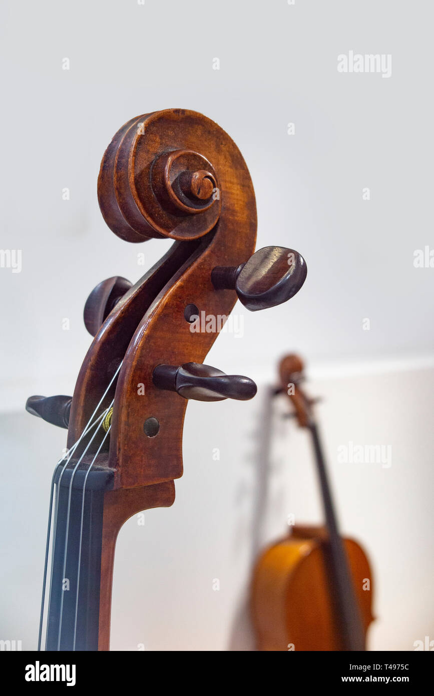 Cellos in a white room Stock Photo