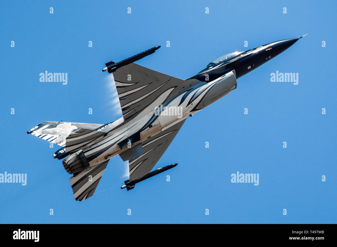 General Dynamics F-16 Fighting Falcon of the Belgian Air Force solo display team - the Dark Falcon piloted by Vador Stock Photo