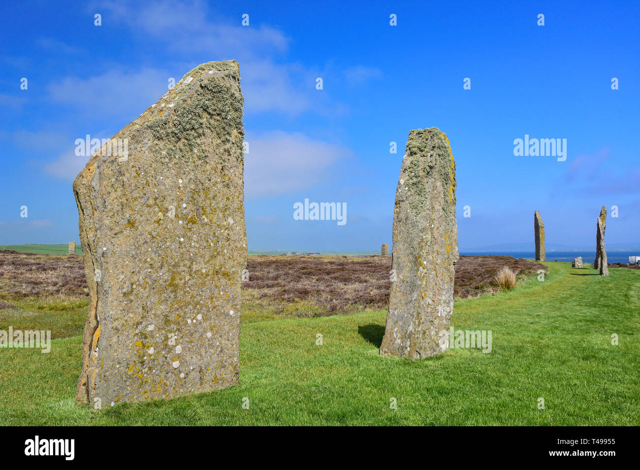 Neolithic standing stones, Ring of Brodgar, near Stromness, Mainland, Orkney Islands, Northern Isles, Scotland, United Kingdom Stock Photo