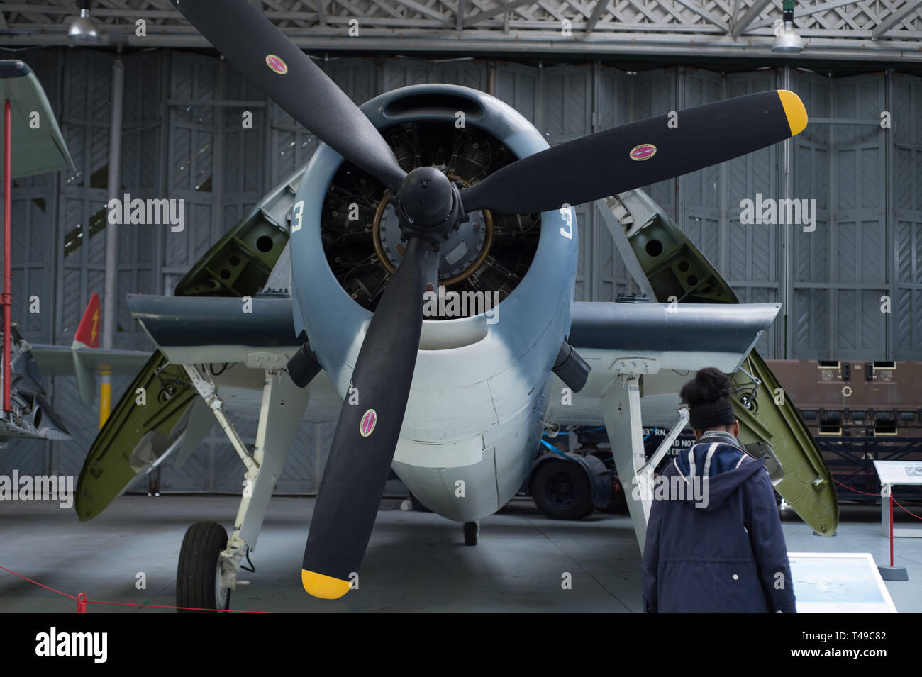 Visitor looking at Grumman TBM-3 Avenger. The aircraft is on display at Duxford Imperial War Musuem in England. Stock Photo