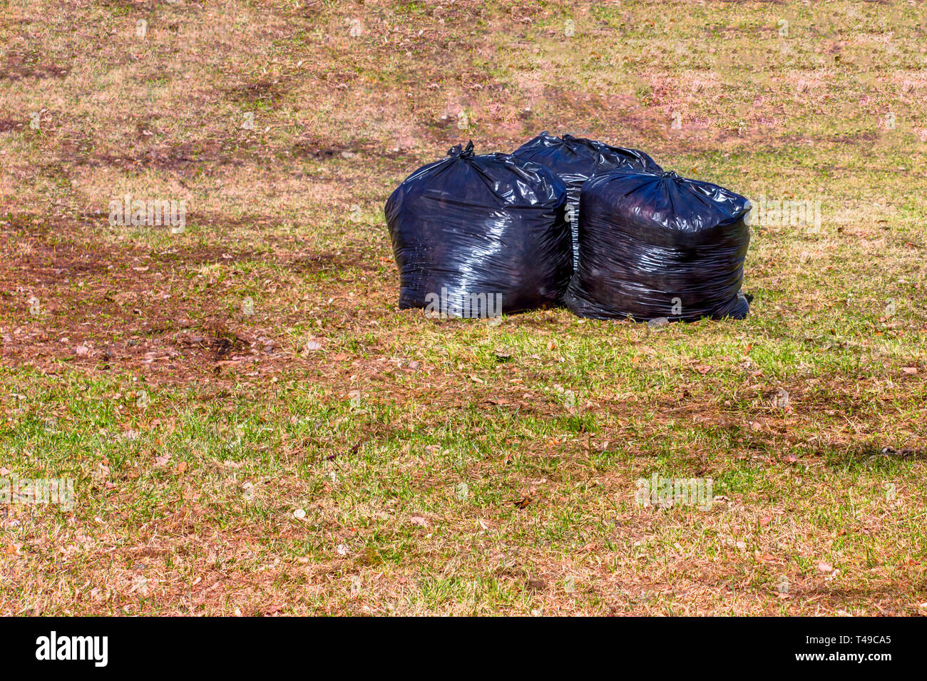 https://c8.alamy.com/comp/T49CA5/black-plastic-bags-with-last-years-dry-leaves-on-the-lawn-in-the-park-T49CA5.jpg