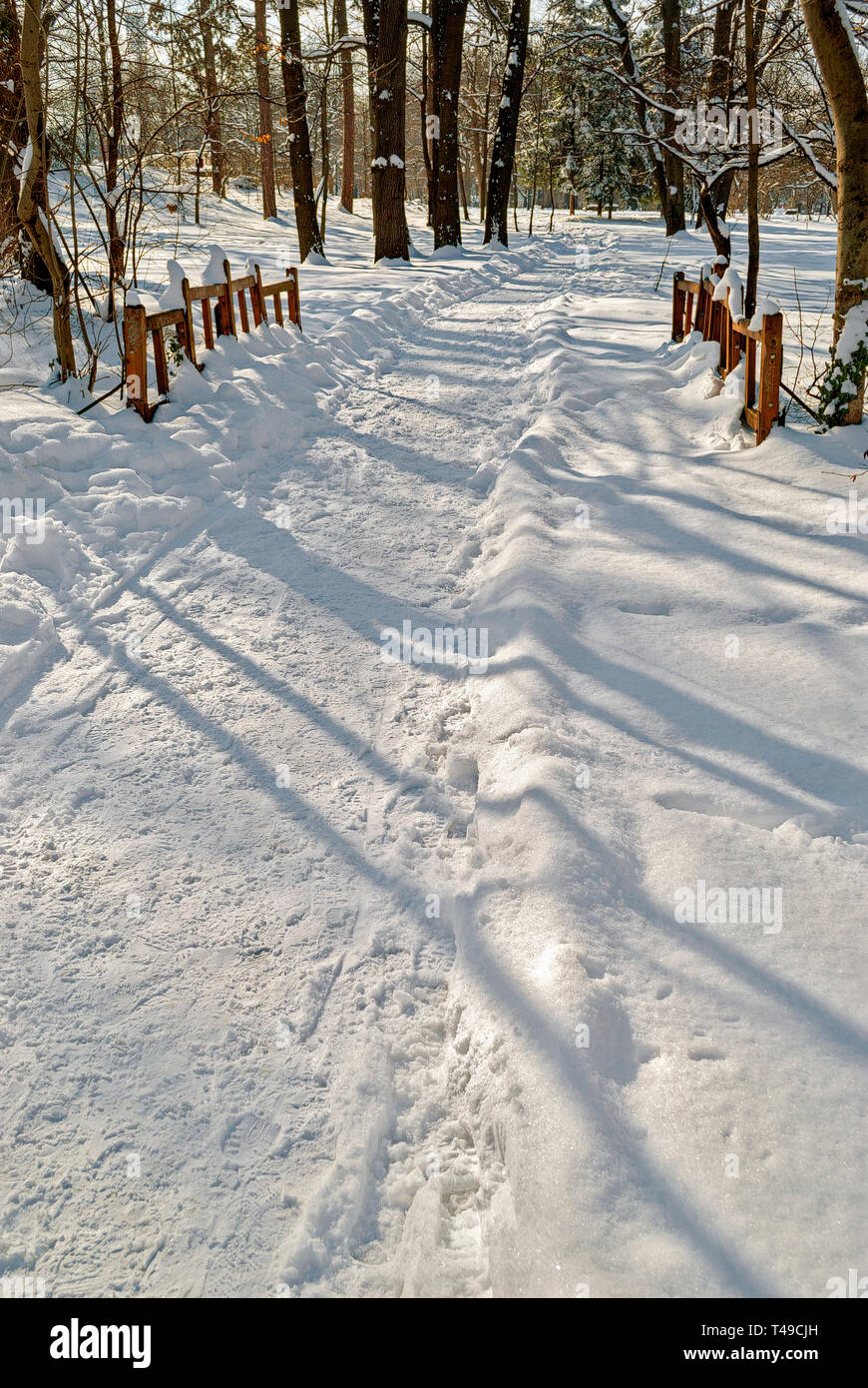 Sunny winter Day in the park; Stock Photo