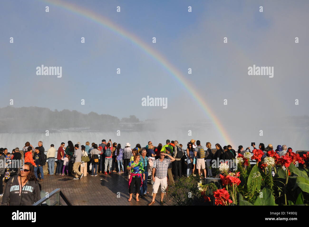 Niagara Falls, Canada - September 10, 2018 - Rainbow of People and Canni Lilies at Table Rock Viewing Horseshoe Falls - Editorial Stock Photo