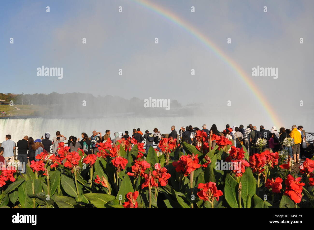 Niagara Falls, Canada - September 10, 2018 - Rainbow of People and Canni Lilies at Table Rock Viewing Horseshoe Falls - Editorial Stock Photo