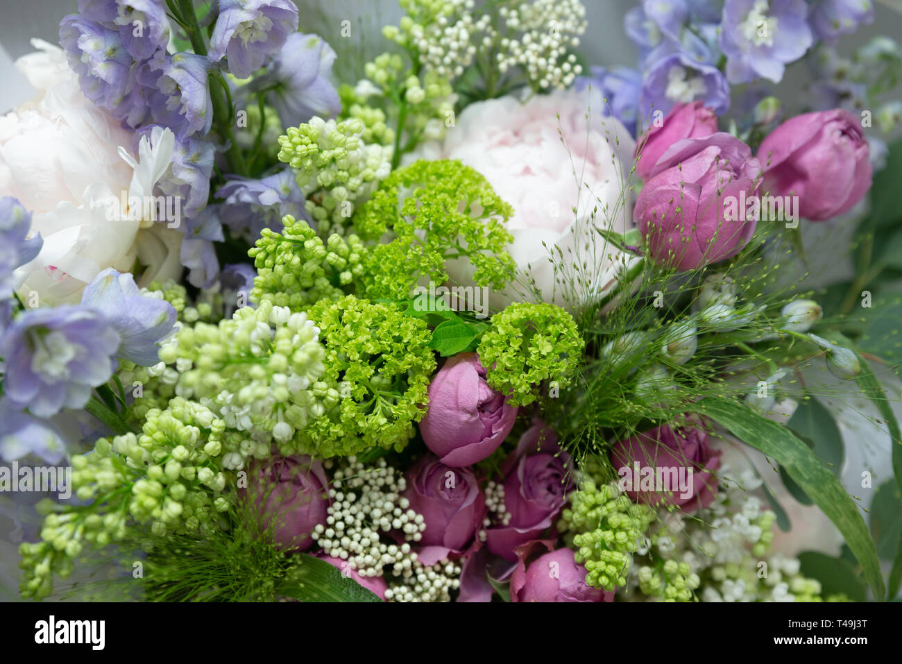 close up of purple flower. Bouquet gathered from different flowers. Stock Photo