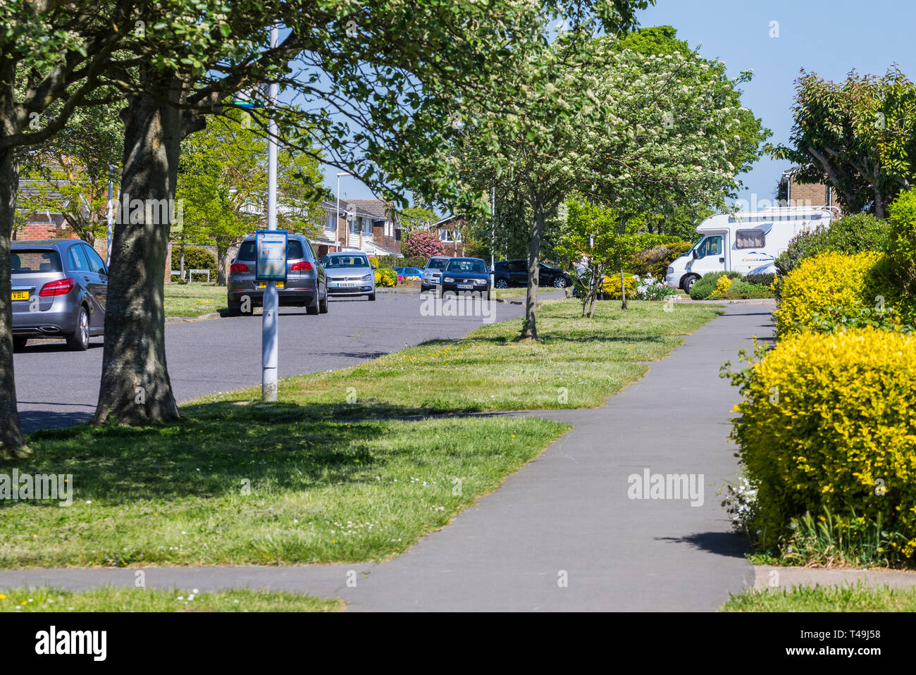 Pavement and trees by a roadside in a quiet residential area in Littlehampton, West Sussex, England, UK. Stock Photo