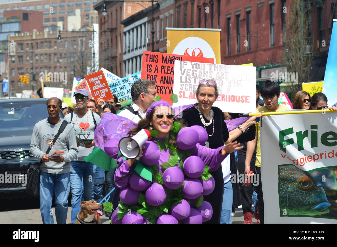 A woman seen with a megaphone and banners during the Annual Veggie Pride Parade. The parade celebrates veganism and exercises the First Amendment rights of those who oppose violence against other animals. Stock Photo