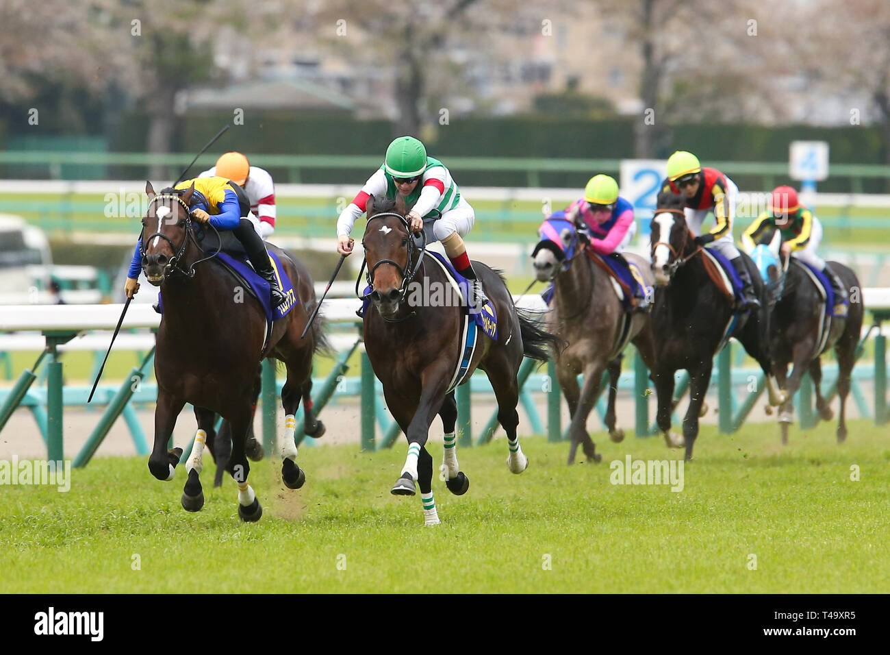 Ishibashi L High Resolution Stock Photography And Images Alamy