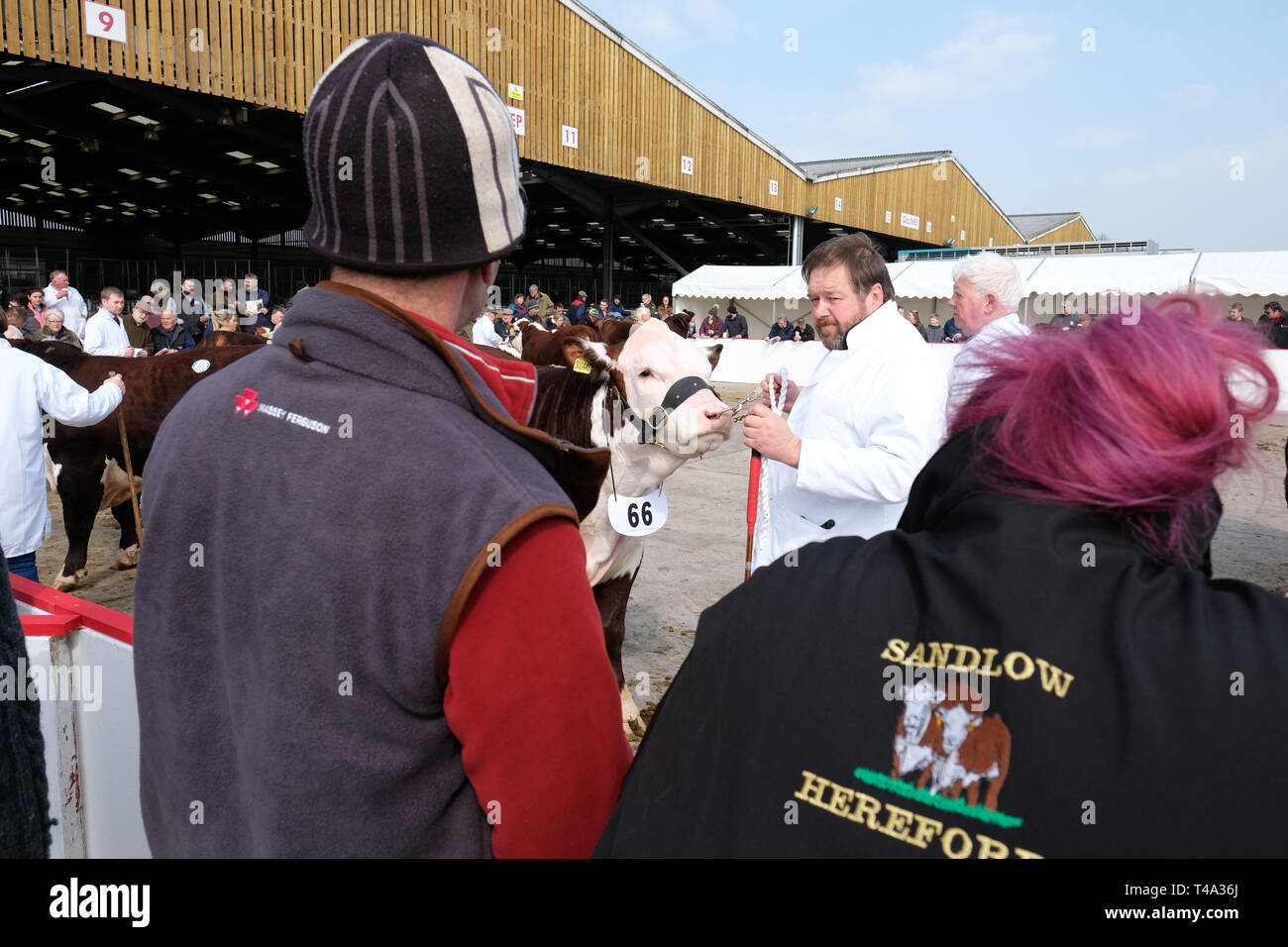 Including market st hires stock photography and images Alamy