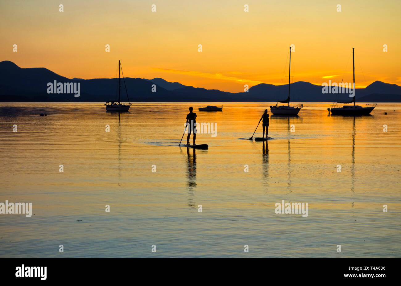 Two stand up paddle boarders returning after sunset on Salt Spring Island, BC, Canada.  Stand up paddleboarding in the Southern Gulf Islands of BC. Stock Photo