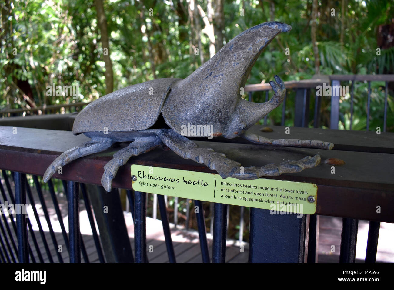 Kuranda, Queensland/Australia - Mar 17, 2019:  A large scale model of a Rhinoceros Beetle with signage explaining what they are Stock Photo