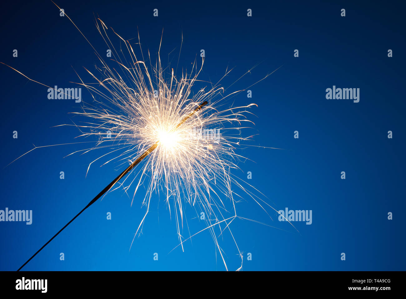 Holiday party sparkler Stock Photo Alamy