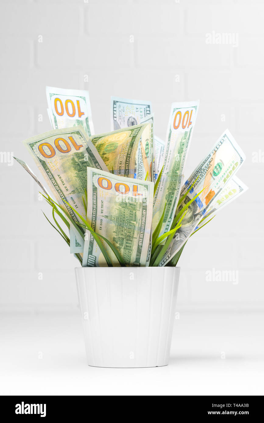 Financial growth. One hundred dollar bills growing in flower pots Stock