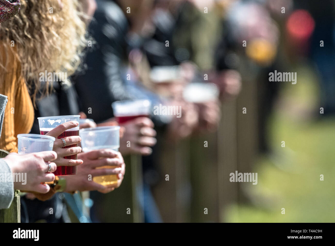 Men and women at a Rugby game holding pints of beer. Stock Photo