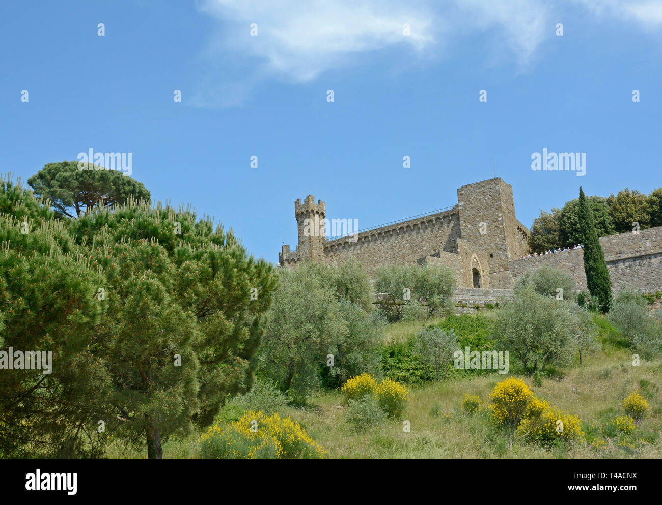 Castle of ancient walled town of Montalcino in Tuscany, Italy Stock Photo