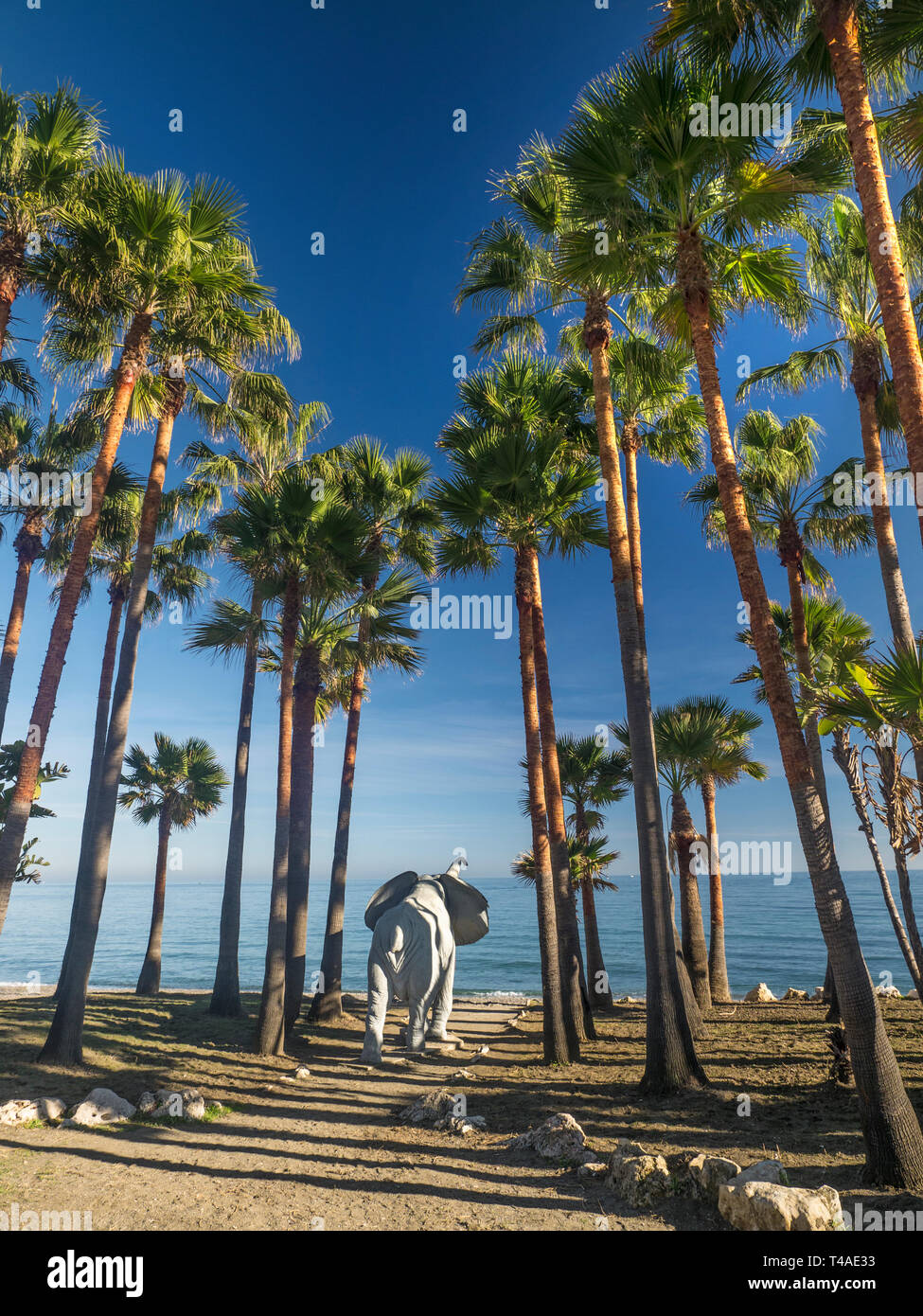 Elephant sculpture provides novel imaginative beach shower via its trunk. Enclosed by palm trees at San Pedro de Alcantara beach Malaga Province Spain Stock Photo