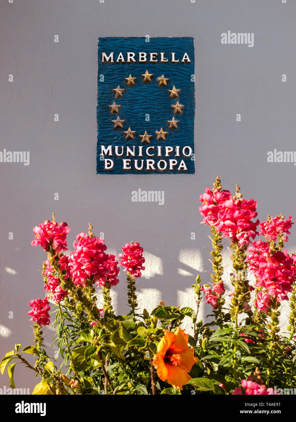 Marbella wall sign floral ’Municipio d Europa’ with EU stars, with   'Stock' Matthiola incana flowers surrounding a Hibiscus in foreground Marbella Stock Photo