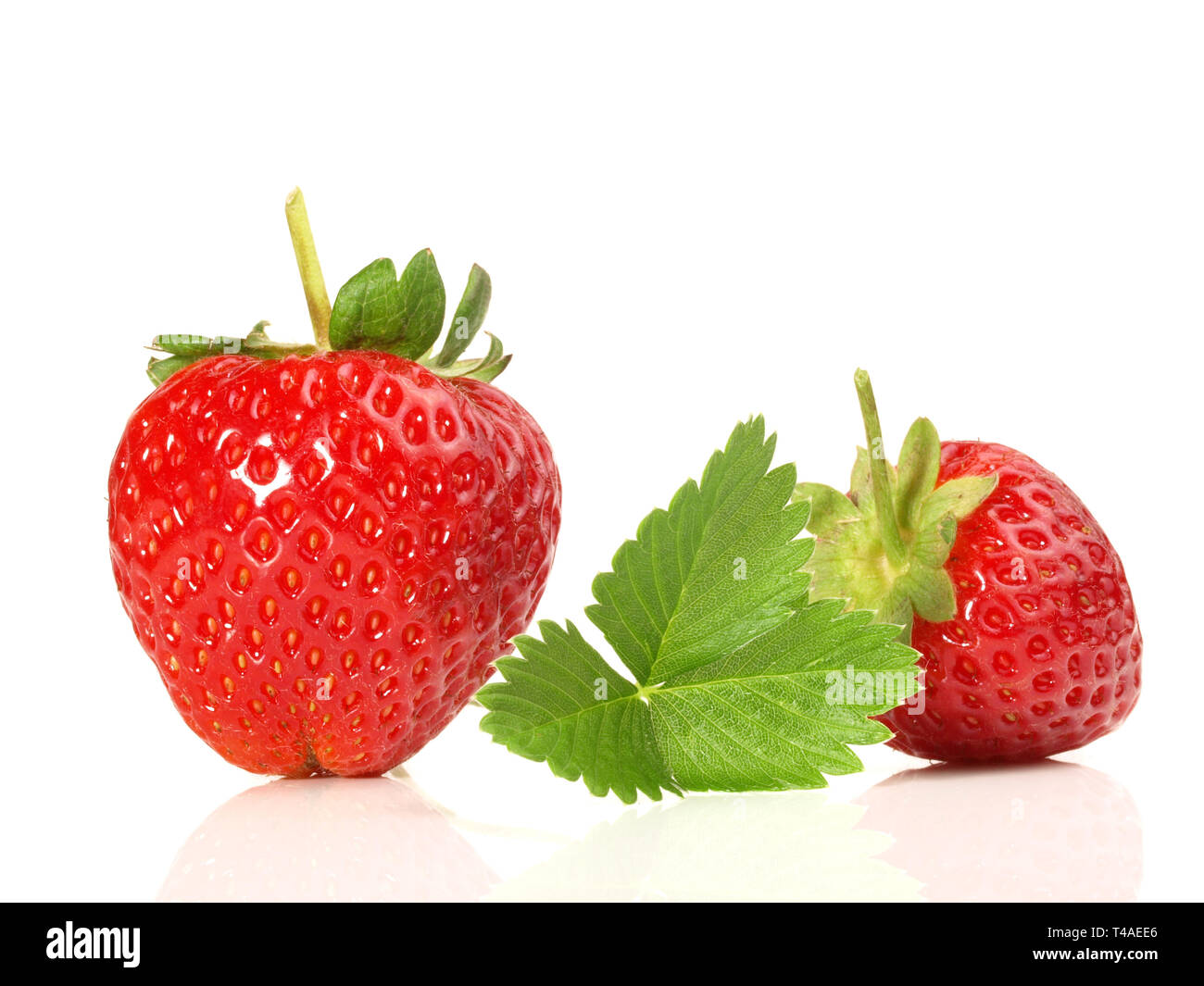 Single Strawberry on white Background Stock Photo - Alamy