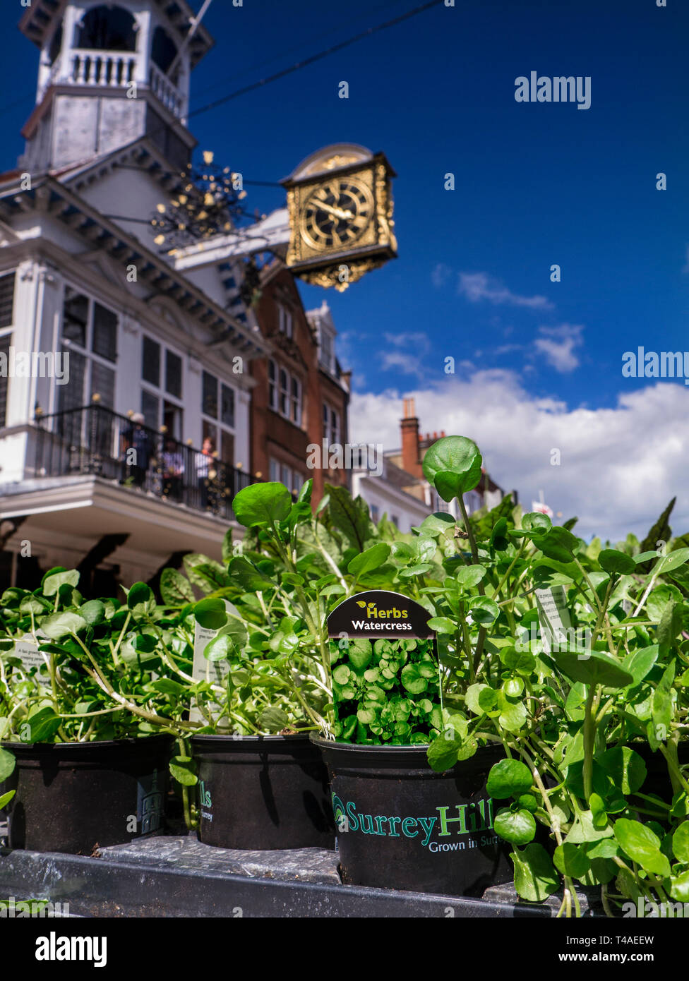 Guildford high street farmers market hires stock photography and