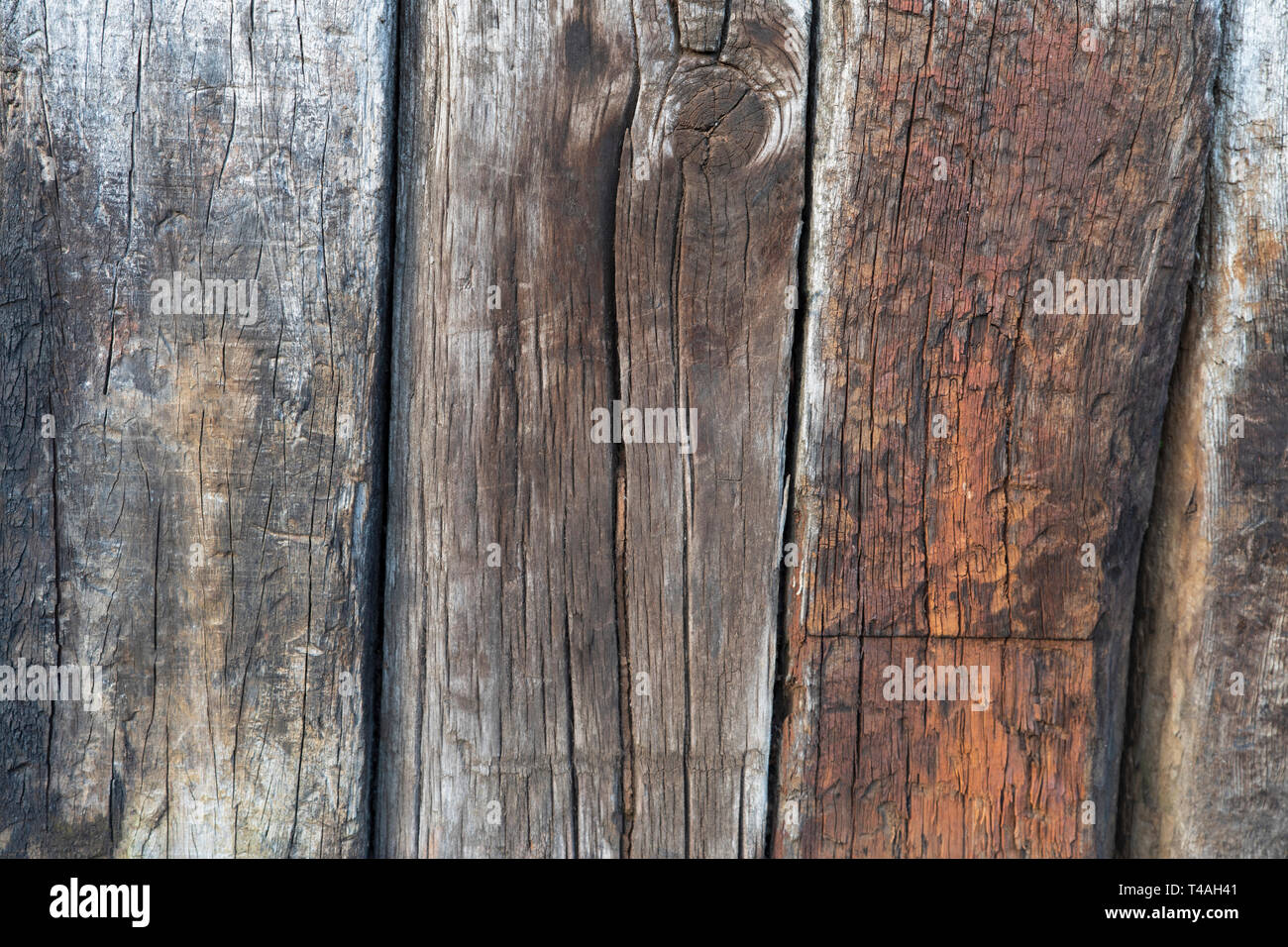 Background in old rustic wooden plank Stock Photo