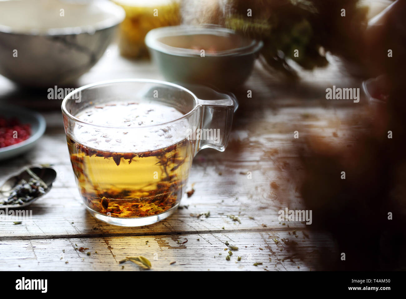 St. John's, healthy anti-stress tea, natural medicine. Stock Photo