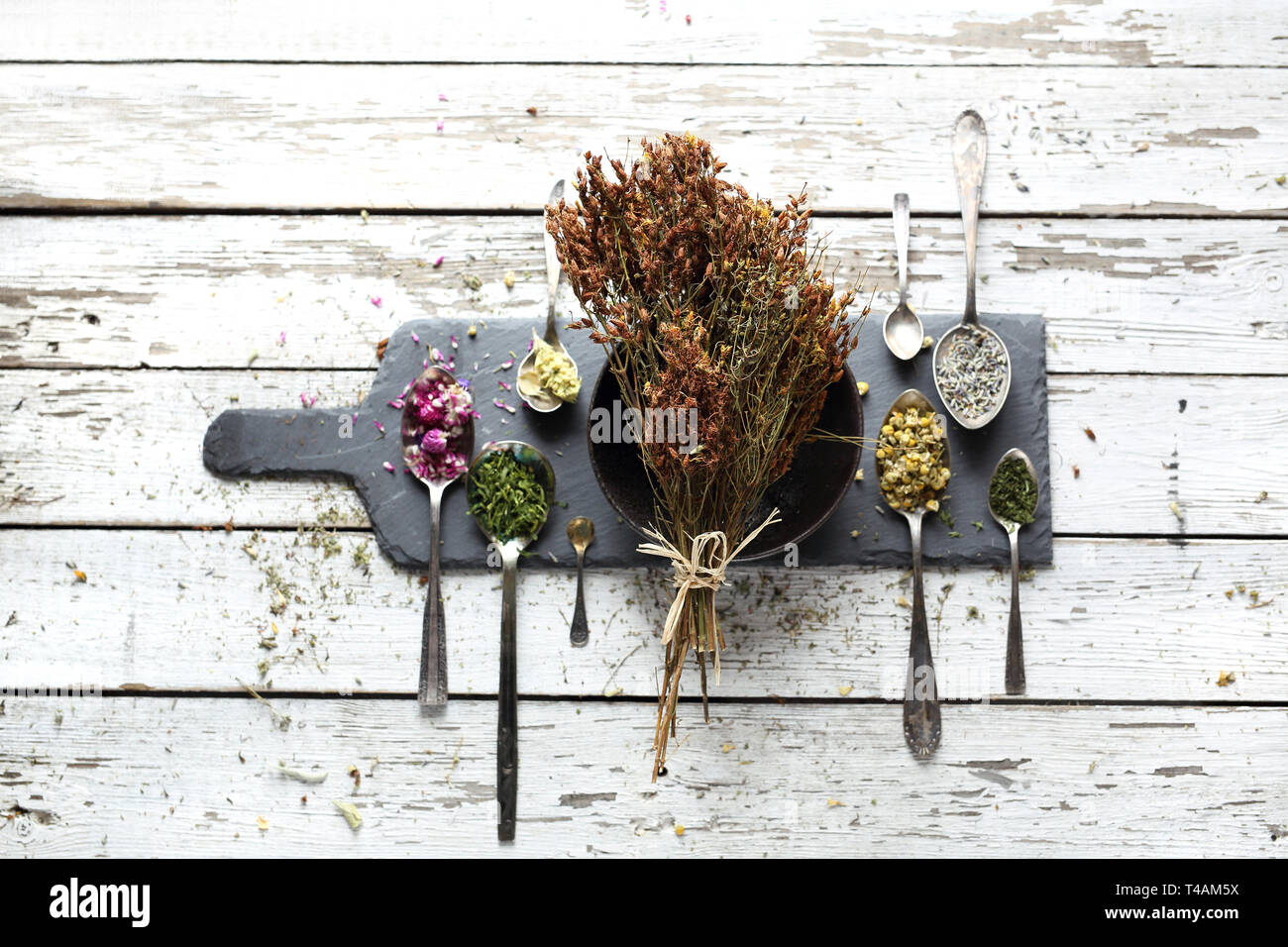 Herbery, St. John's wort. Natural medicine, herbal medicine Stock Photo
