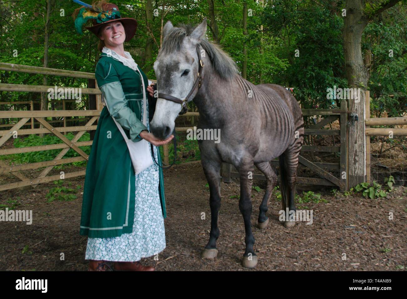 Zorse For Sale >> Rebecca Townsend With Zulu The Zorse A Cross Between A Zorse For Sale >> Rebecca Townsend With Zulu The Zorse A Cross Between A