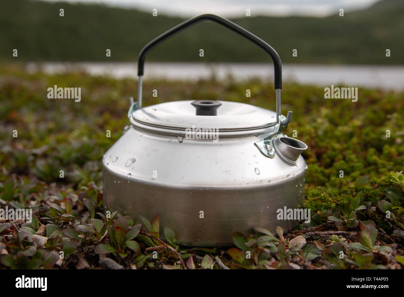 kettle in heather with shallow depth of field Stock Photo