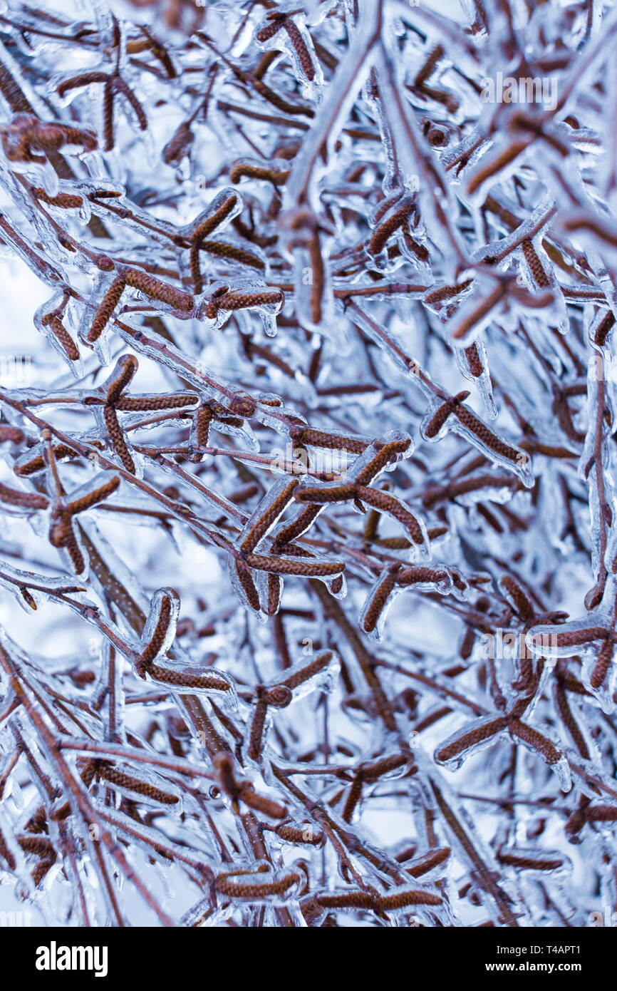 Montreal freezing rain hi-res stock photography and images - Alamy