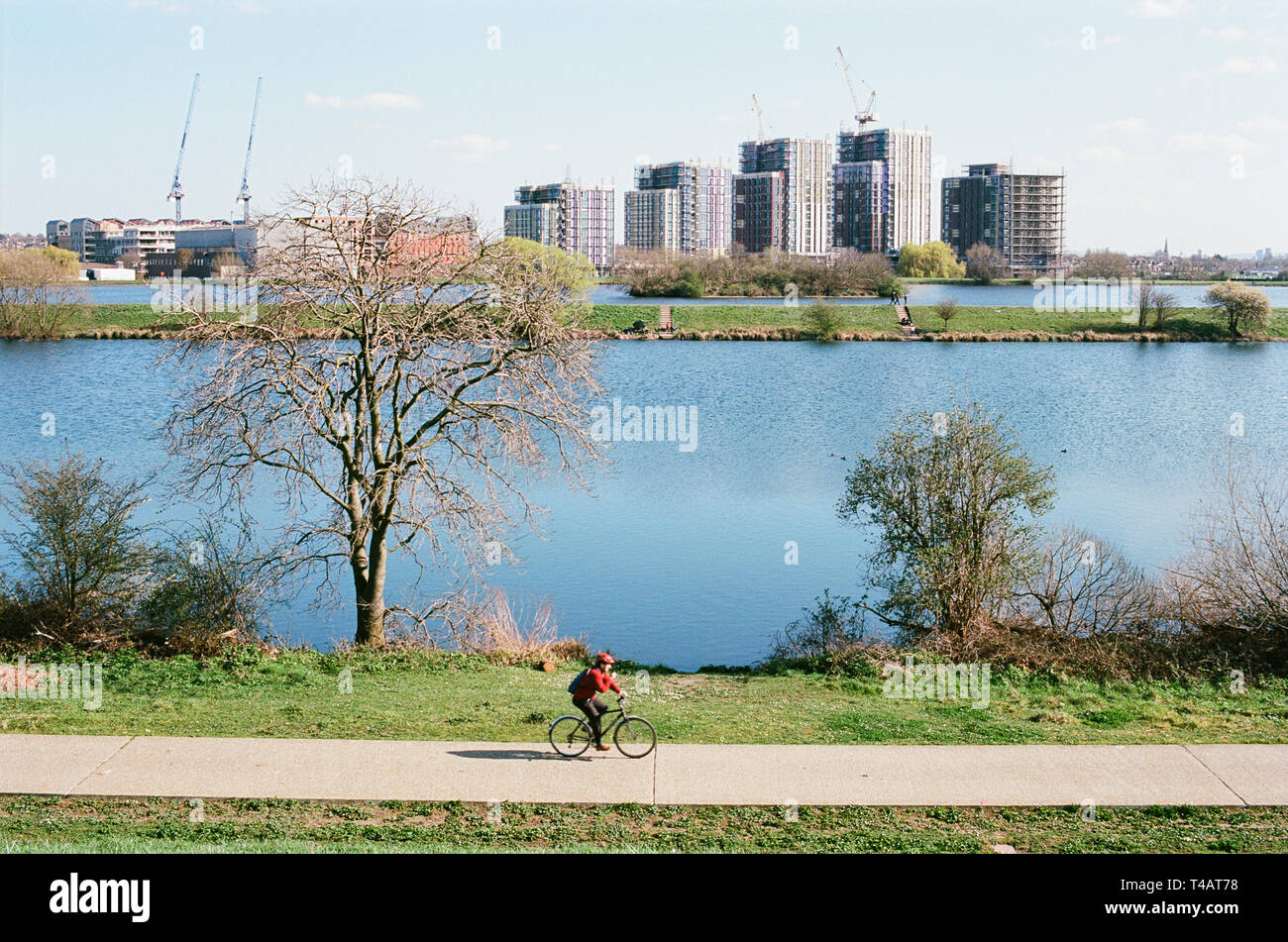 Cyclist on a footpath by Low Maynard Reservoir on Walthamstow Wetlands, North East London UK, with new apartments in the background Stock Photo