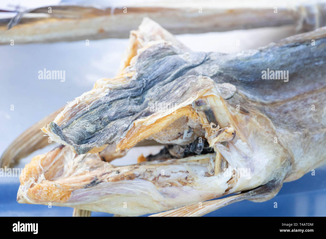 Close-up of a dried cod head, specialty of Italian cuisine Stock Photo