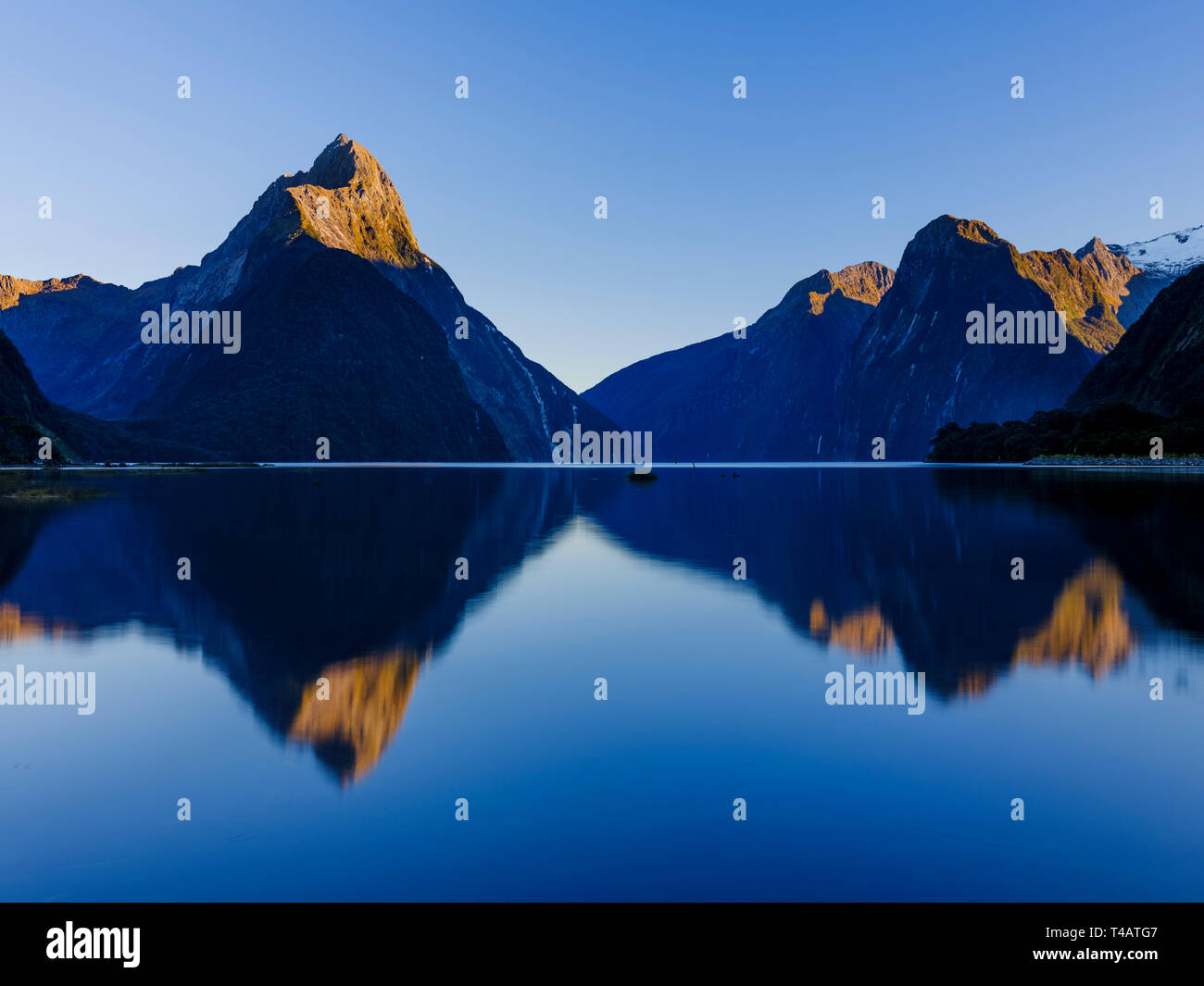 New Zealand, South Island, Fiordland National Park. A calm morning at ...