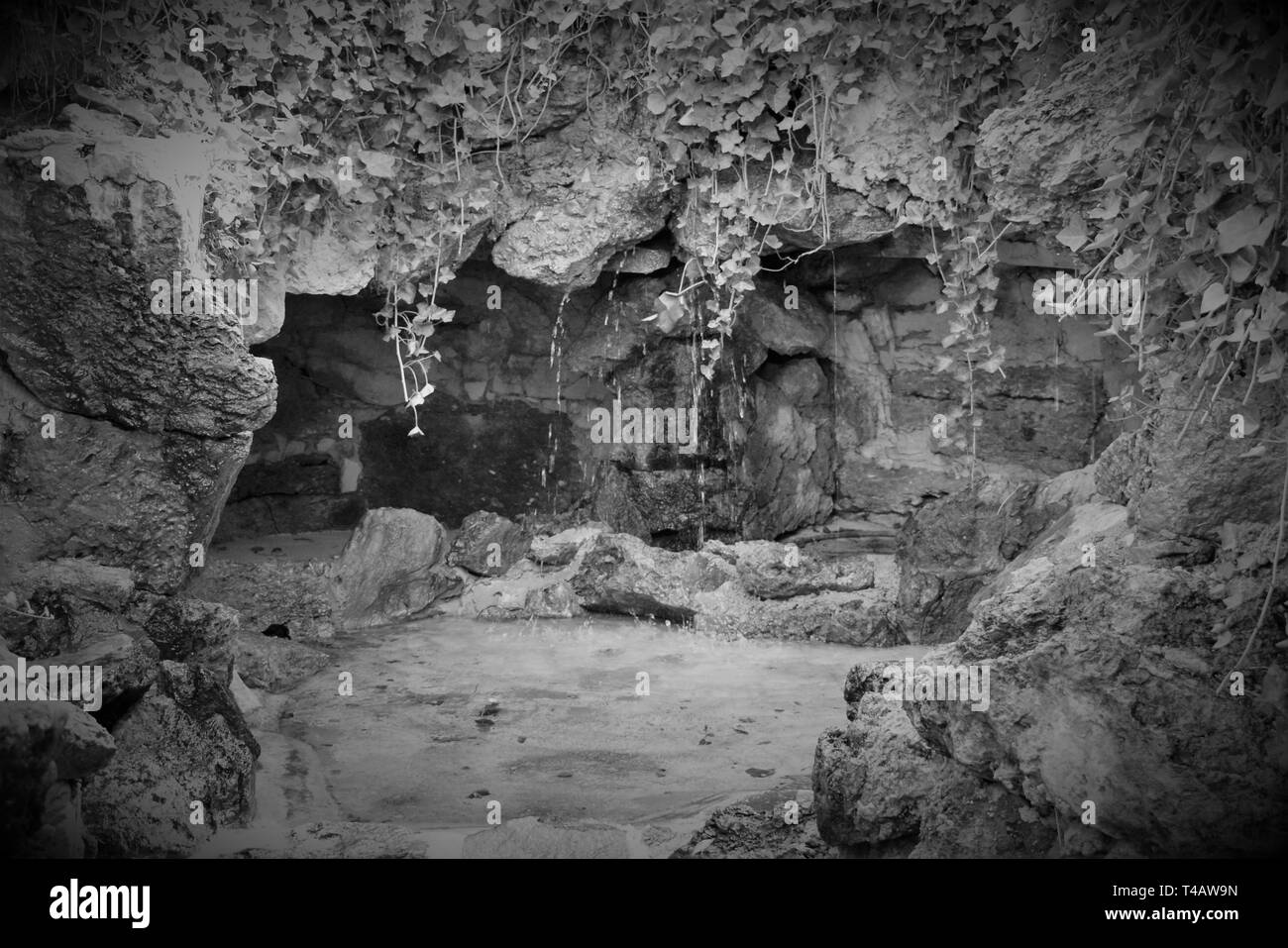 black and white Stock Photo - Alamy