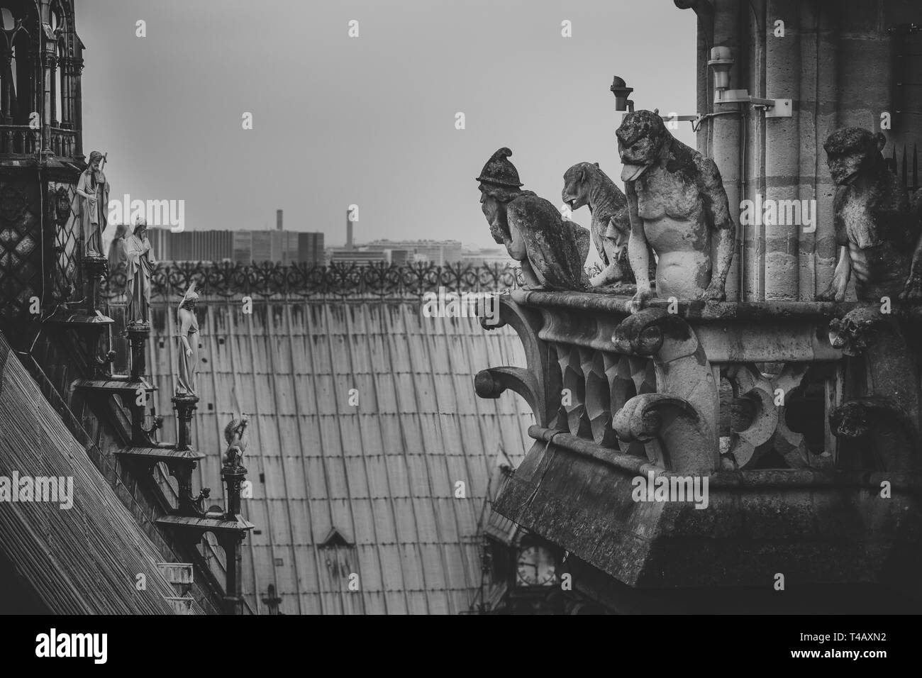Mythical creature gargoyle on the roof of Cathedral Notre Dame de Paris. View from the tower. Stock Photo