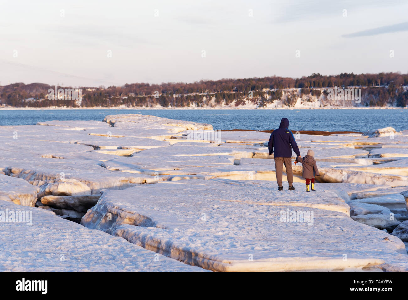A man and a child walking hand in hand on pack ice on the shore of the St Lawrence at Cap Rouge, Quebec, Canada Stock Photo