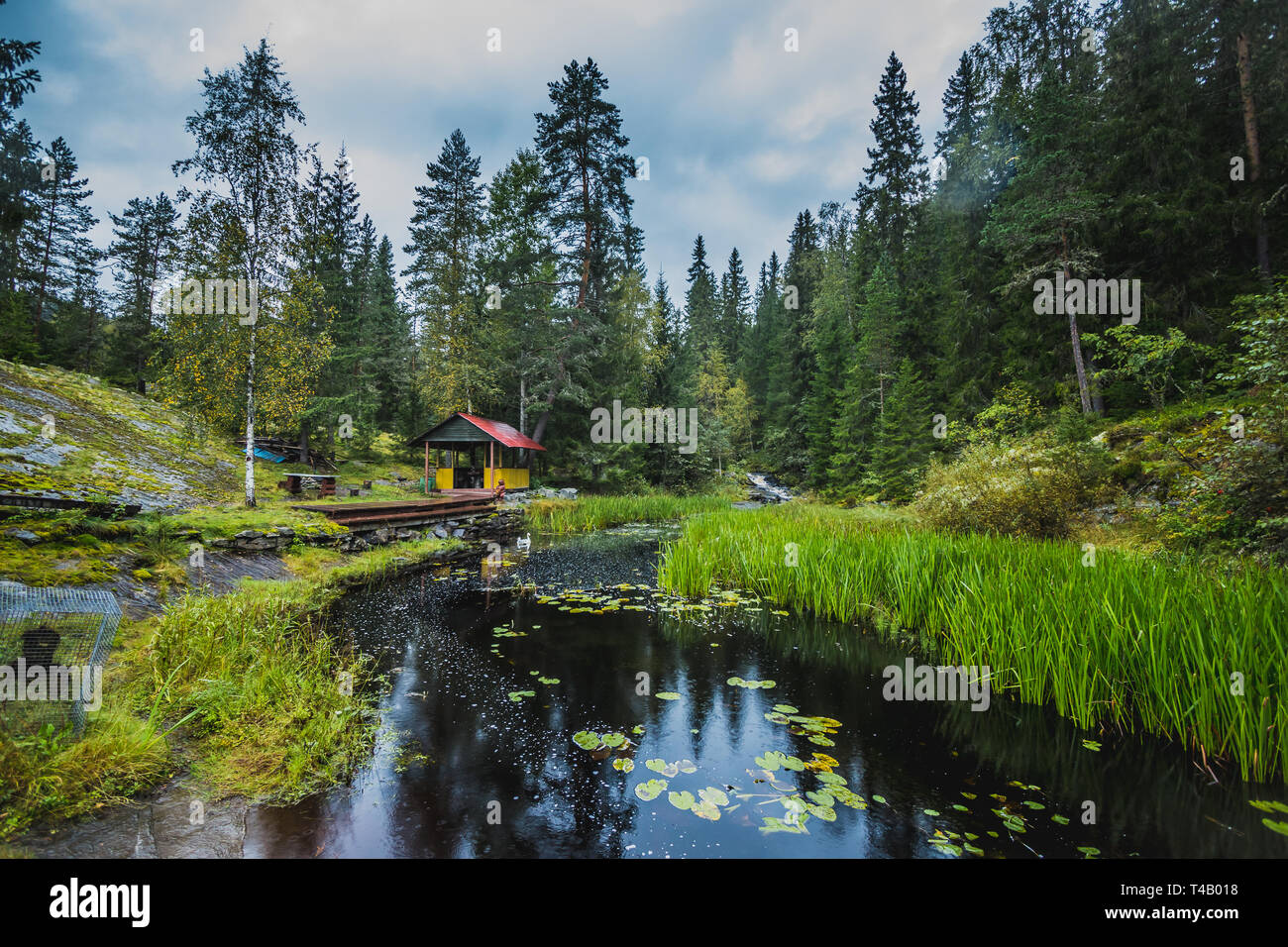 Arbor next to the river in the forest, grass and stones in Karelia Stock Photo