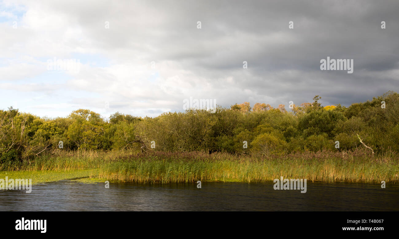 Natural lake and woodland scene Stock Photo