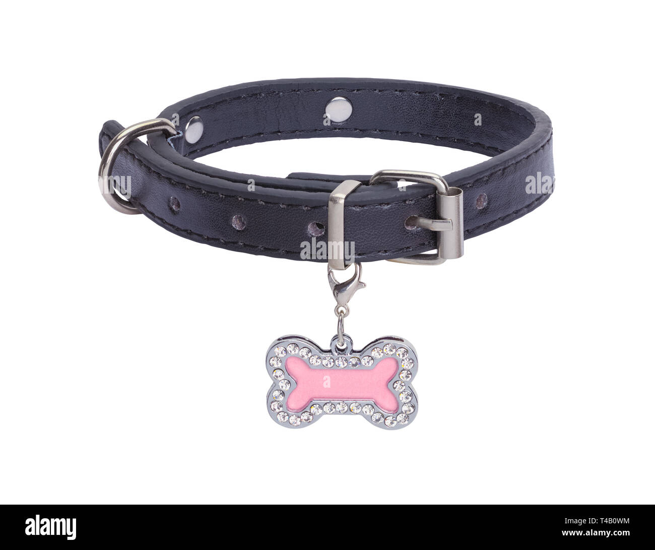 Black Leather Collar with Pink Dog Bone Tag Isolated on White Background. Stock Photo