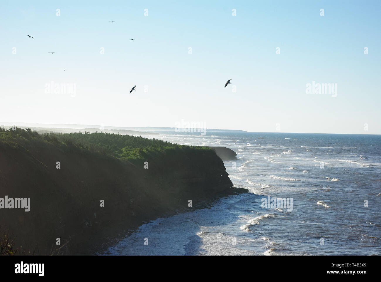 The Cliff of Orby Head on Prince Edward Island in Canada on a sunny day. In the National Park. Stock Photo
