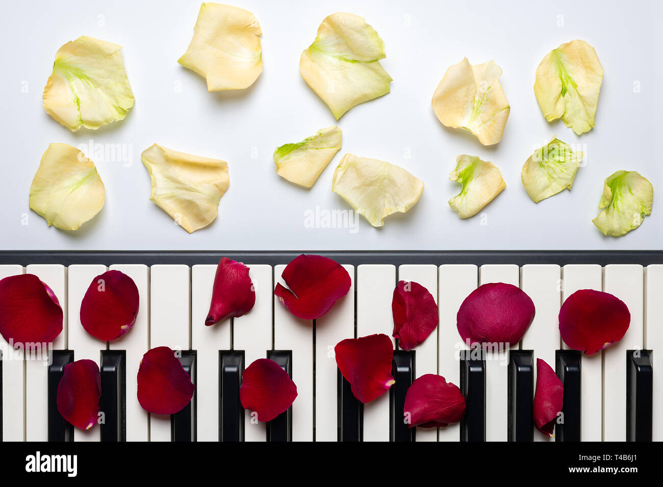 Piano keys with red and white rose flower petals, isolated, top view, copy space. Romantic concept. Piano or synthesizer keyboard. Classical music ins Stock Photo