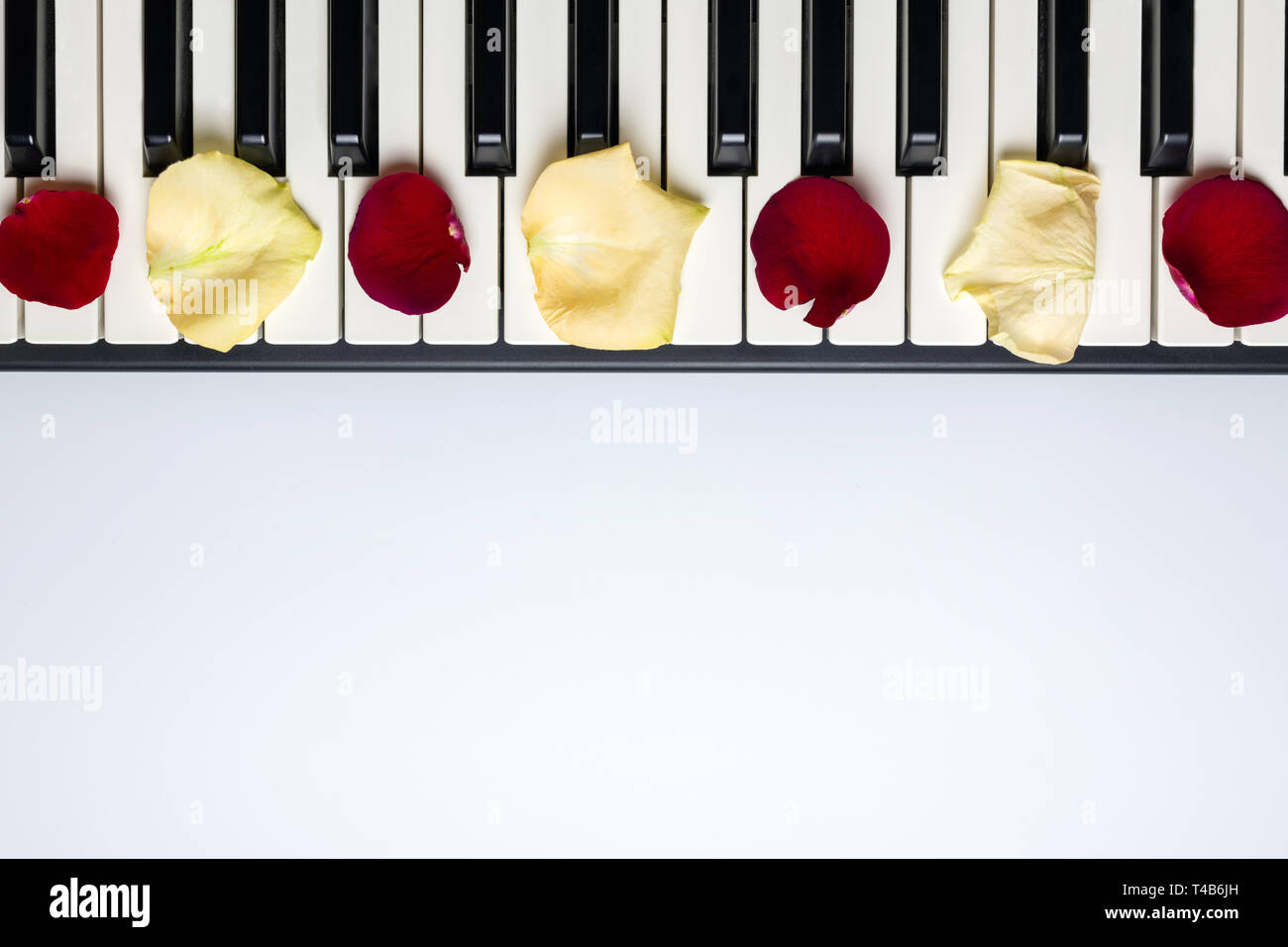 Piano keys with red and white rose flower petals, isolated, top view, copy space. Romantic concept. Piano or synthesizer keyboard. Classical music ins Stock Photo