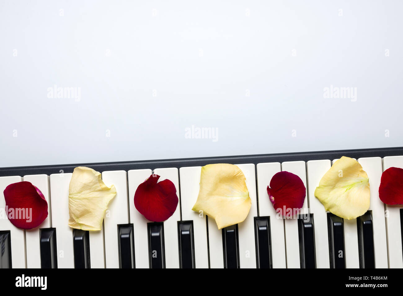 Piano keys with red and white rose flower petals, isolated, top view, copy space. Romantic concept. Piano or synthesizer keyboard. Classical music ins Stock Photo