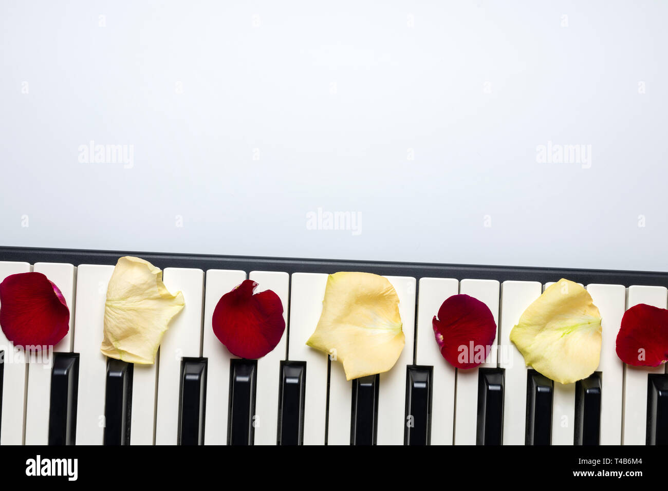 Piano keys with red and white rose flower petals, isolated, top view, copy space. Romantic concept. Piano or synthesizer keyboard. Classical music ins Stock Photo