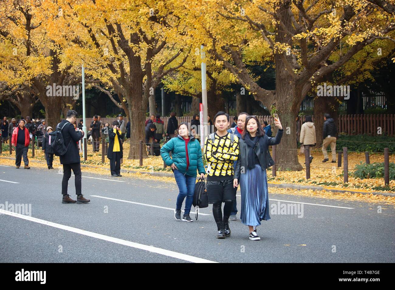 TOKYO, JAPAN NOVEMBER 30, 2016 People visit autumn Ginkgo Avenue in