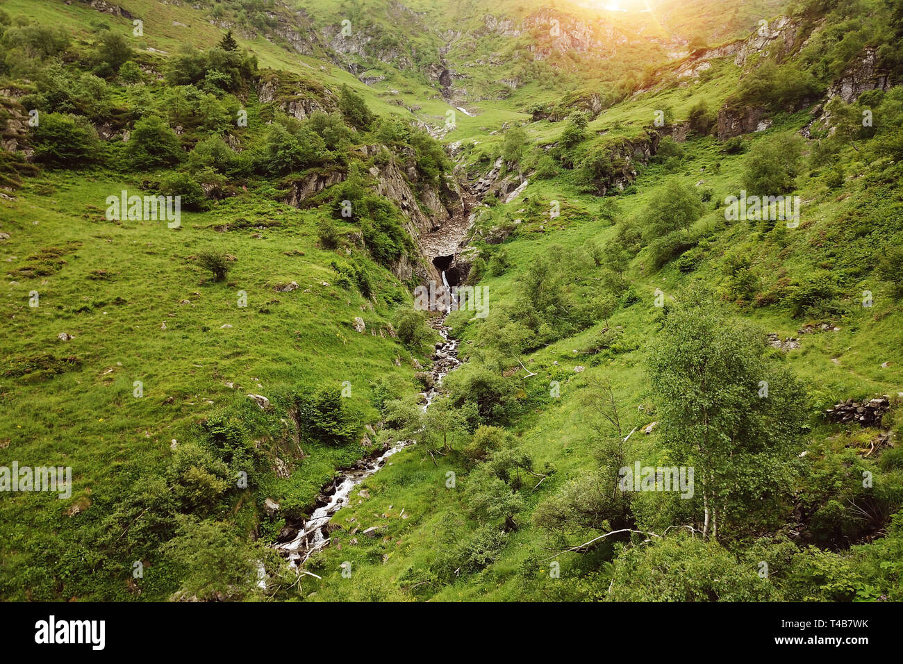 Small mountain stream with waterfall in summer in the Pyrenees Stock Photo