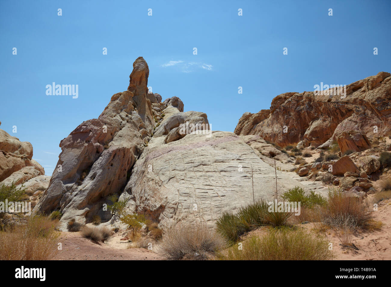 White Dome Rock, Valley of Fire State Park, Nevada, America. Stock Photo