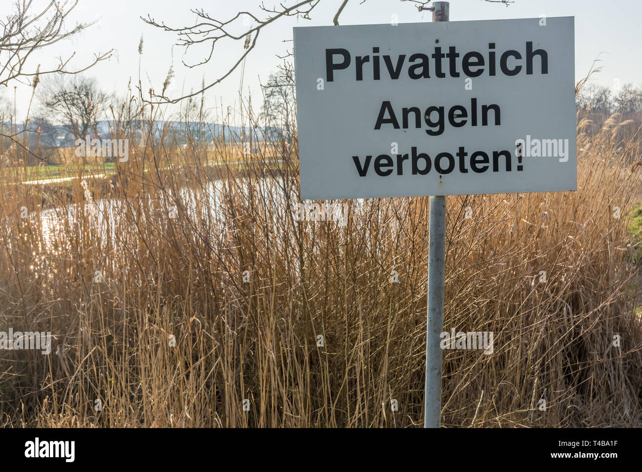 Small lake with the prohibition sign "private pond fishing forbidden